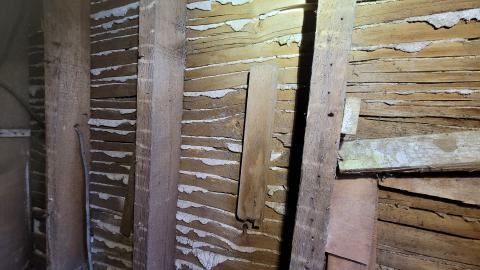 Still Explorable - 20241116_155116.jpg