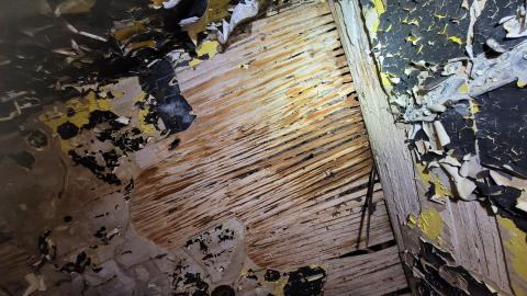 Still Explorable - 20241116_155109.jpg