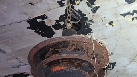 Still Explorable - 20241116_155055.jpg