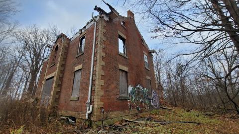 Still Explorable - 20241116_154651.jpg