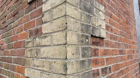 Still Explorable - 20241116_154328.jpg