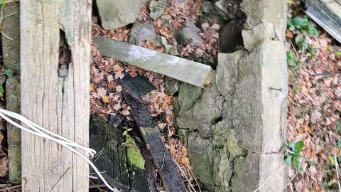 Still Explorable - 20241116_154245.jpg