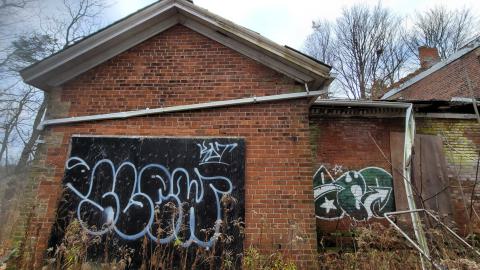 Still Explorable - 20241116_154151.jpg