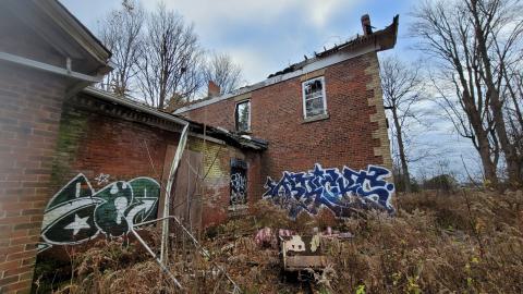 Still Explorable - 20241116_154149.jpg