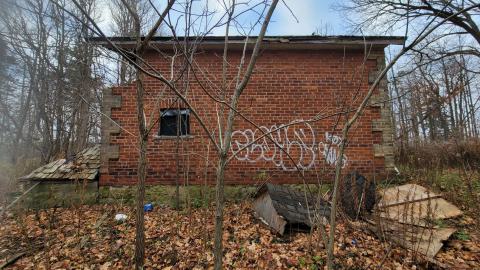 Still Explorable - 20241116_154115.jpg