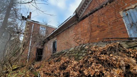 Still Explorable - 20241116_154027.jpg