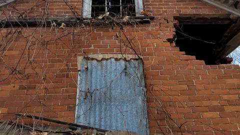 Still Explorable - 20241116_154022.jpg