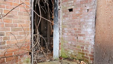 Still Explorable - 20241116_153940.jpg