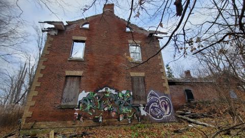 Still Explorable - 20241116_153848.jpg