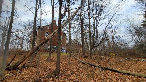 Still Explorable - 20241116_153811.jpg