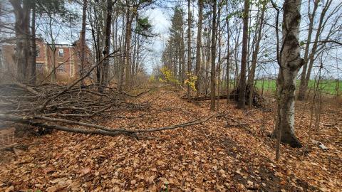 Still Explorable - 20241116_153714.jpg