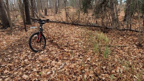 Still Explorable - 20241116_153707.jpg