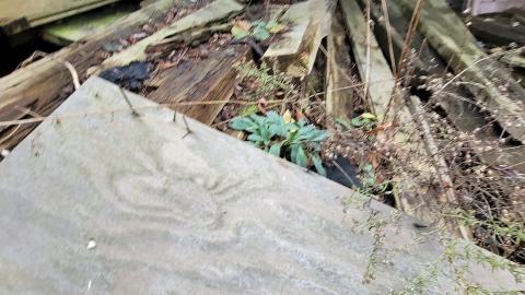 Book Road Garage And Silo photo 5