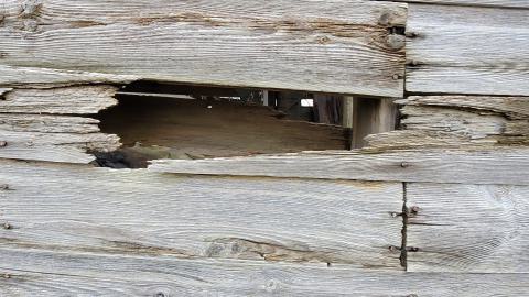 Garage And Silo - 20241116_144420.jpg