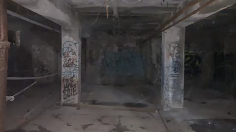 The Old Stompin’ Grounds - IMG_4111.jpeg