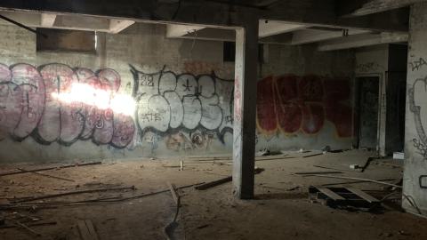 The Old Stompin’ Grounds - IMG_4116.jpeg