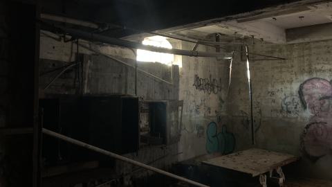 The Old Stompin’ Grounds - IMG_4117.jpeg