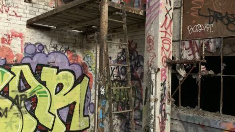 The Old Stompin’ Grounds - IMG_4121.jpeg