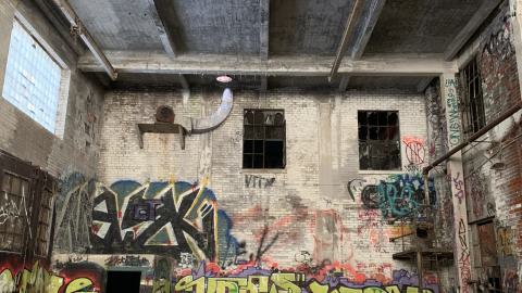 The Old Stompin’ Grounds - IMG_4122.jpeg