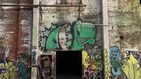 The Old Stompin’ Grounds - IMG_4123.jpeg