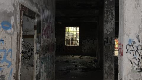 The Old Stompin’ Grounds - IMG_4129.jpeg