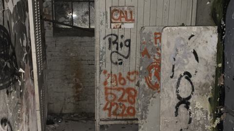 The Old Stompin’ Grounds - IMG_4130.jpeg