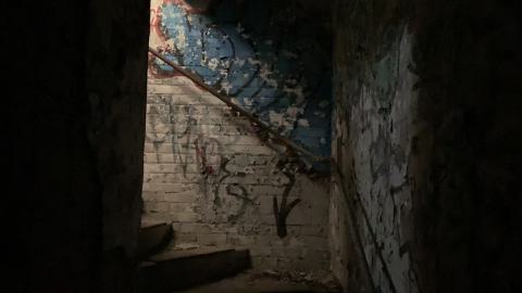 The Old Stompin’ Grounds - IMG_4132.jpeg