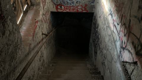 The Old Stompin’ Grounds - IMG_4135.jpeg