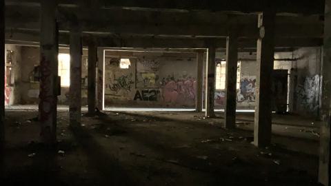 The Old Stompin’ Grounds - IMG_4138.jpeg