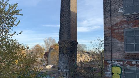 The Old Stompin’ Grounds - IMG_4140.jpeg