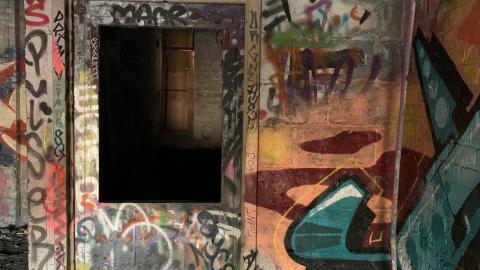 The Old Stompin’ Grounds - IMG_4144.jpeg