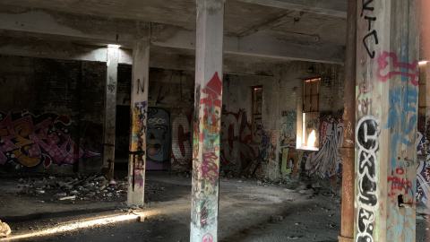 The Old Stompin’ Grounds - IMG_4146.jpeg