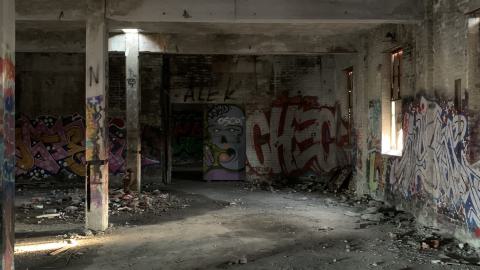 The Old Stompin’ Grounds - IMG_4147.jpeg