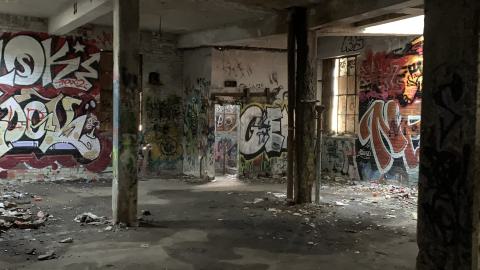 The Old Stompin’ Grounds - IMG_4149.jpeg