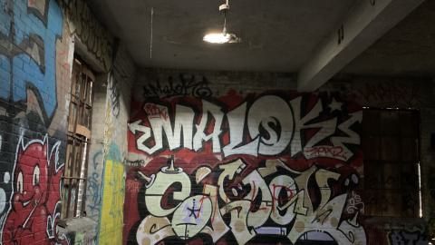 The Old Stompin’ Grounds - IMG_4150.jpeg