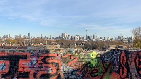 The Old Stompin’ Grounds - IMG_4151.jpeg