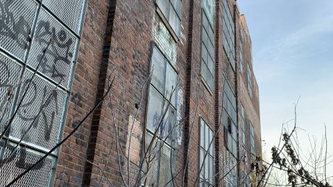 The Old Stompin’ Grounds - IMG_4152.jpeg