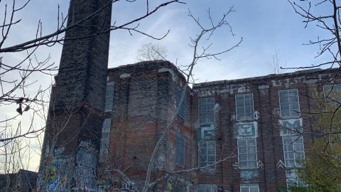 The Old Stompin’ Grounds - IMG_4153.jpeg