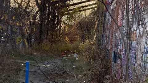 Photo from The Old Stompin’ Grounds