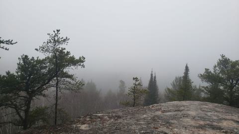 Stetham Tower - 20241120_153929.jpg