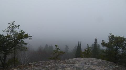 Stetham Tower - P1070120.JPG