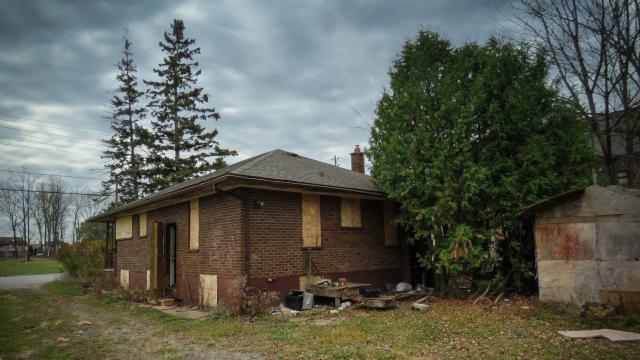 Dark Webs - Niagara Falls, Ontario