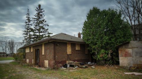 Photo from Dark Webs (Discovery Visit)