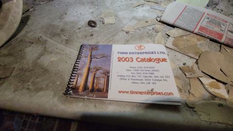 First One In! - 20241122_161404.jpg