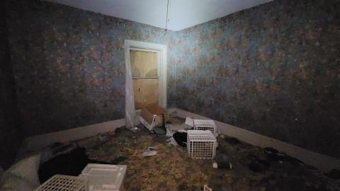 First One In! - 20241122_161131.jpg