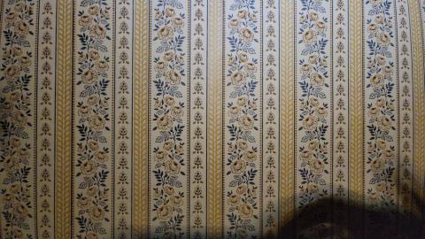 First One In! - 20241122_161025.jpg