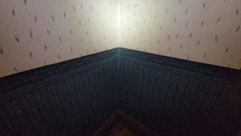 First One In! - 20241122_160929.jpg