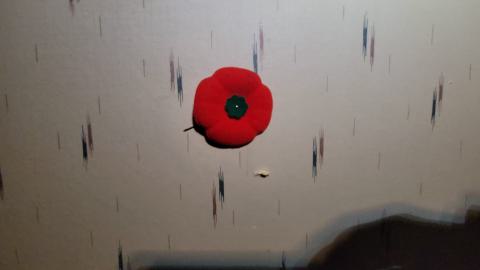 First One In! - 20241122_160917.jpg