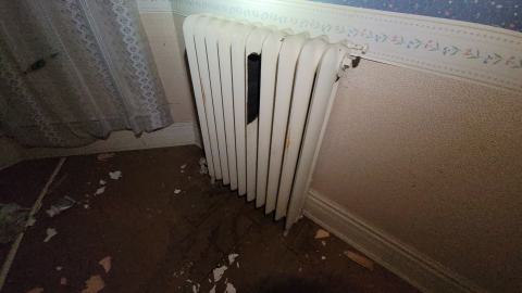 First One In! - 20241122_160602.jpg