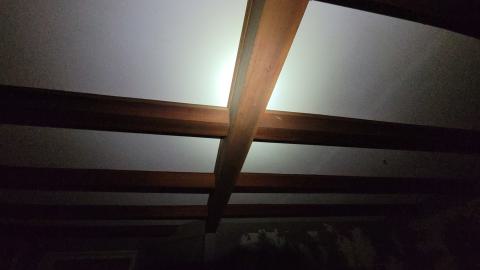 First One In! - 20241122_160312.jpg